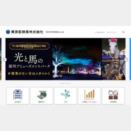 （東京都競馬の公式HP）