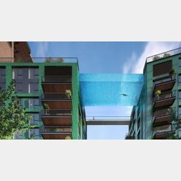 OMG！（ユーチューブから）