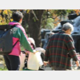 写真はイメージ