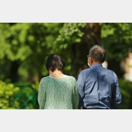 地道に増やす、あせらずゆったりと（Ｃ）日刊ゲンダイ