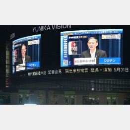 相変わらず舌かみかみ（Ｃ）日刊ゲンダイ