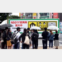 63％、68％もが「評価しない」／（Ｃ）日刊ゲンダイ