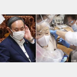 現実離れした目標を目指す”ヤギさん論法”菅首相（Ｃ）日刊ゲンダイ