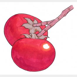 イラスト・クロキタダユキ