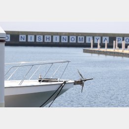 新西宮ヨットハーバー（Ｃ）日刊ゲンダイ