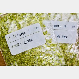 小分けにして冷凍保存できる（提供写真）