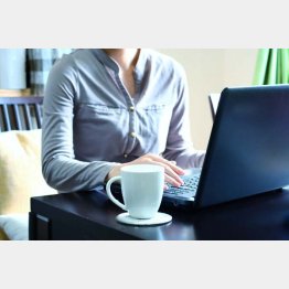 写真はイメージ