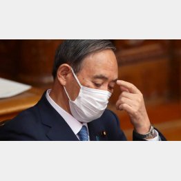 指導力がない、政策が悪い（菅首相）／（Ｃ）日刊ゲンダイ