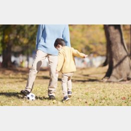 写真はイメージ