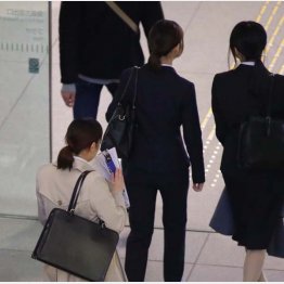 就活スタート（Ｃ）日刊ゲンダイ