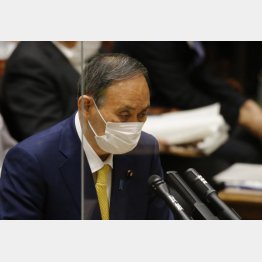 菅義偉総理大臣（Ｃ）日刊ゲンダイ