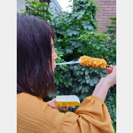 たしかにチーズをのばしてみるとちょっと楽しい（提供写真）