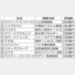 日本のユニコーン企業10社（Ｃ）日刊ゲンダイ