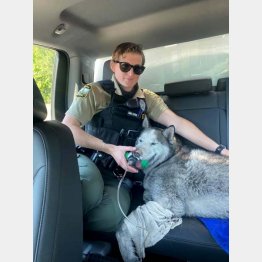 酸素マスクを装着されるイゴール（バージニアビーチ動物管理局のフェイスブックから）