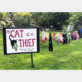 （ケイトさんのフェイスブックから）