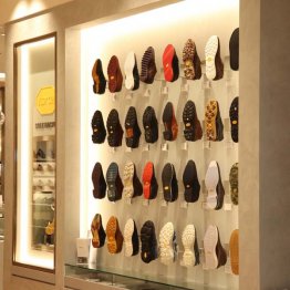 「ヴィラム ソールファクター」（Ｃ）日刊ゲンダイ