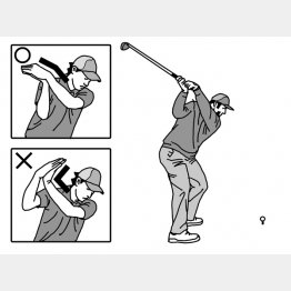 イラスト・上間久里