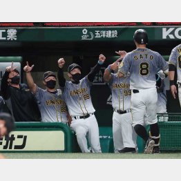 首位を独走する虎！（Ｃ）日刊ゲンダイ