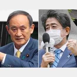 鉄槌が当然の立場なのに…（菅首相と安倍前首相＝右）／（Ｃ）日刊ゲンダイ