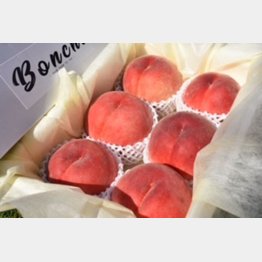 大玉桃（提供写真）