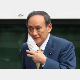 “選挙の顔”にならない菅首相（Ｃ）日刊ゲンダイ