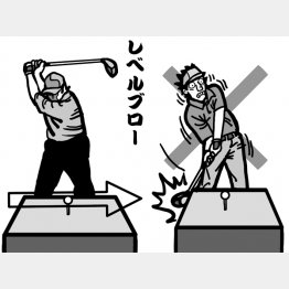 イラスト・渡辺隆司