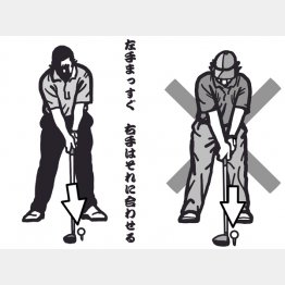 イラスト・渡辺隆司