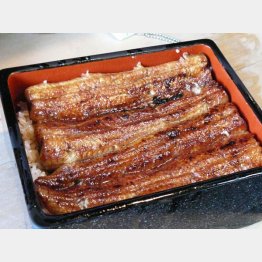 夏はこれに限る（提供写真）