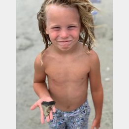 ザンダー君／フェイスブックのグループ「骨と化石の鑑定（Bone and Fossil Identification）」から