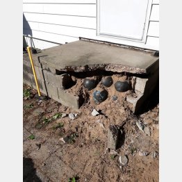 写真１（「ザ・ボウリング・ボール・ガイ」から）