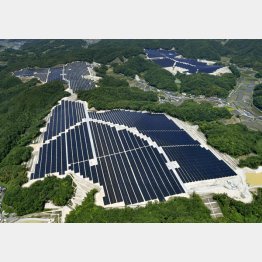 生産すればするほど（太陽光発電所＝6月、岡山県赤磐市）／（Ｃ）共同通信社