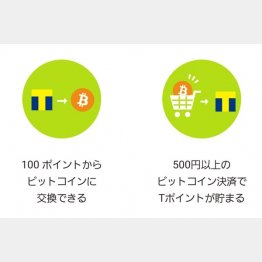 （ビットフライヤーのアプリから）