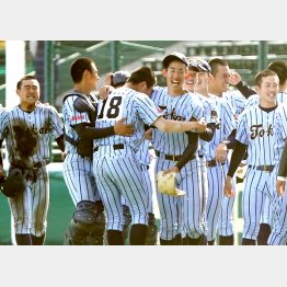 センバツで10年ぶり3回目の優勝を決めた東海大相模（Ｃ）日刊ゲンダイ
