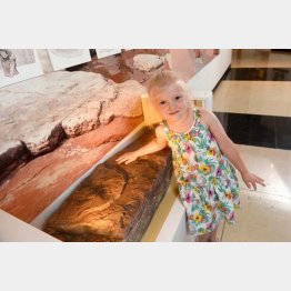 リリーちゃんが見つけたものは…（ツイッターから）