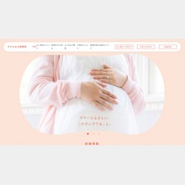 （ステムセル研究所の公式HP）