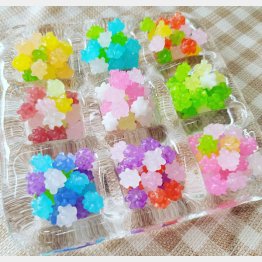 和から洋へ魅せ方を工夫（提供写真）