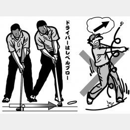 イラスト・渡辺隆司