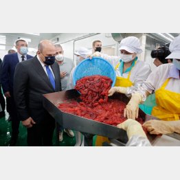 ハッキリ言って北方領土からの日本排除（択捉島を訪問し、現地工場を視察するロシアのミシュスチン首相＝左2）　（Ｃ）ロイター／Sputnik