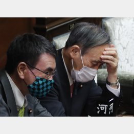 菅首相（右）と河野大臣（Ｃ）日刊ゲンダイ