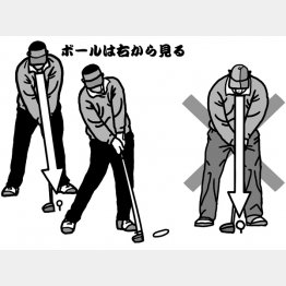 イラスト・渡辺隆司