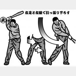 イラスト・渡辺隆司