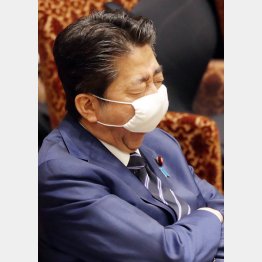 政権ブン投げ後はアベノマスクもポイ捨て（Ｃ）日刊ゲンダイ