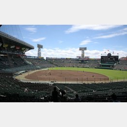 2021年も無観客の甲子園（2020年の甲子園交流試合）／（Ｃ）日刊ゲンダイ