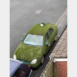 毎朝7時にこの車の屋根の上に…（Mafeotulさんのレディットの投稿から）