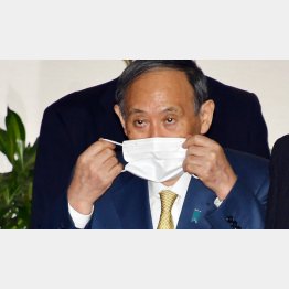 来週から一気に政局（菅首相）／（Ｃ）日刊ゲンダイ
