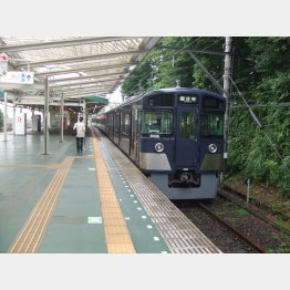 多摩湖発国分寺行電車（Ｃ）日刊ゲンダイ