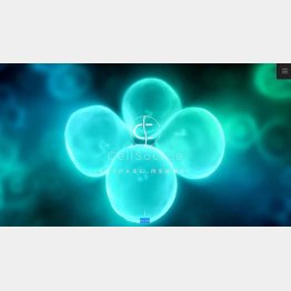 （セルソースの公式HP）