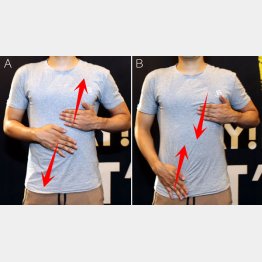 写真Ａ、Ｂ（Ｃ）日刊ゲンダイ