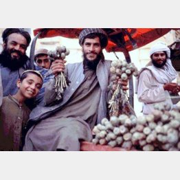 カンダハルで野菜として売られていたケシ（1998年）写真撮影／筆者