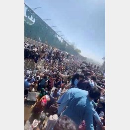 空港は大勢のアフガン人で大混乱（自爆テロ発生前）／（Ｃ）ロイター